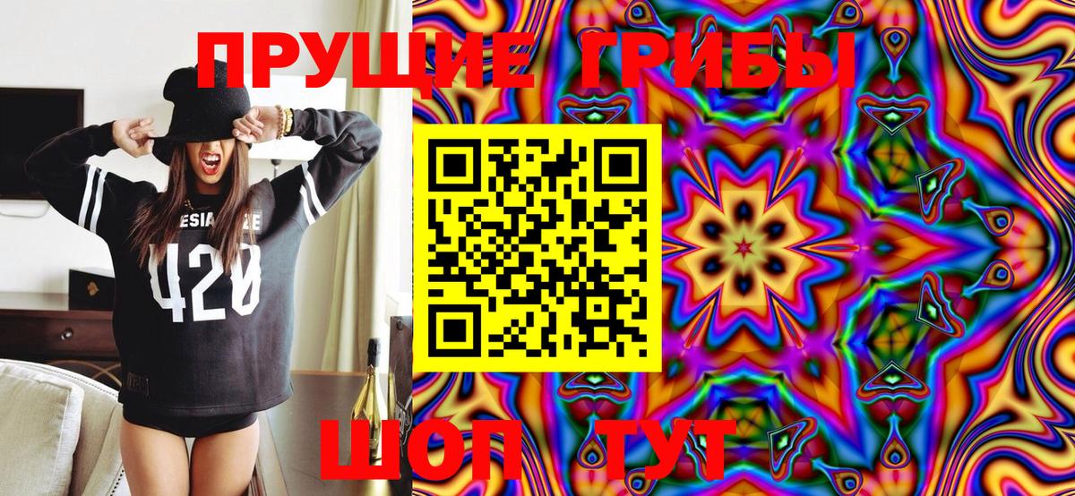 Псилоцибиновые грибы Psilocybe Норильск