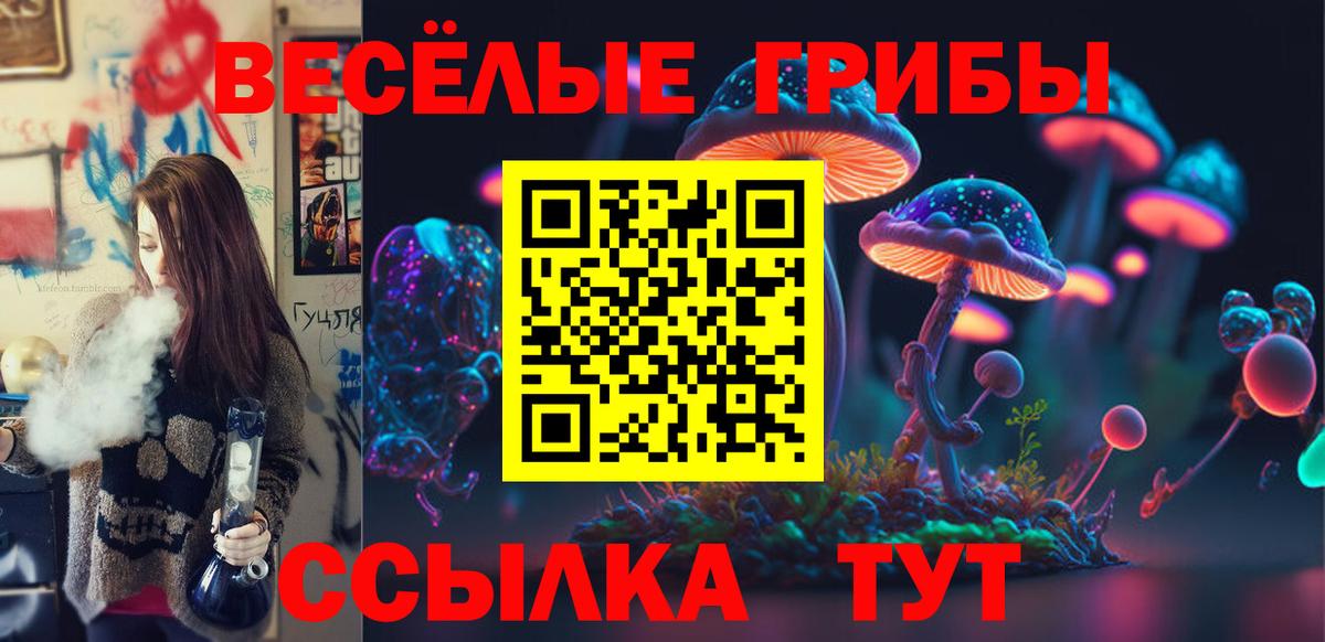 Норильск  Галлюциногенные грибы Magic Shrooms  Вход с VPN 